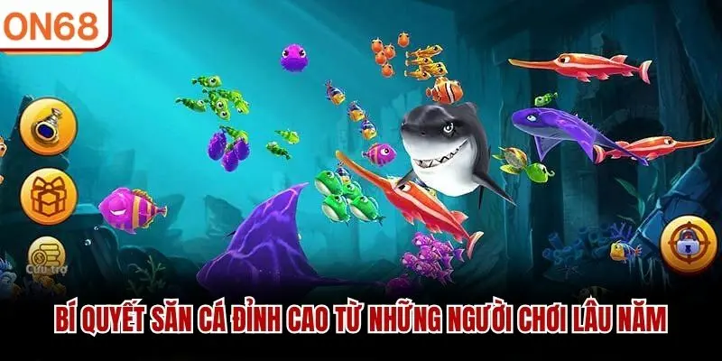 Bí quyết săn cá đỉnh cao từ những người chơi lâu năm