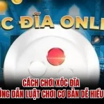Cách Chơi Xóc Đĩa – Hướng Dẫn Luật Chơi Cơ Bản Dễ Hiểu Hay