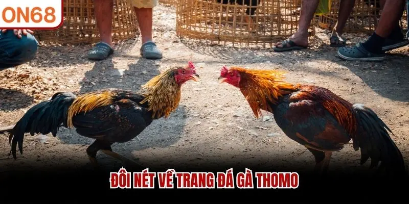 Đôi nét về trang đá gà Thomo