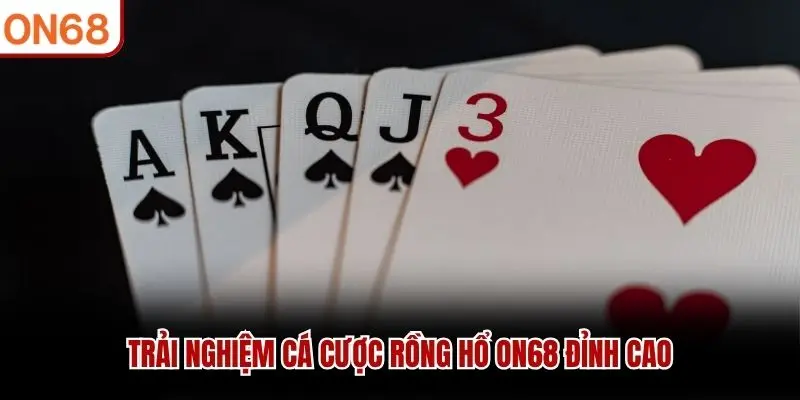 Trải nghiệm cá cược Rồng Hổ ON68 đỉnh cao